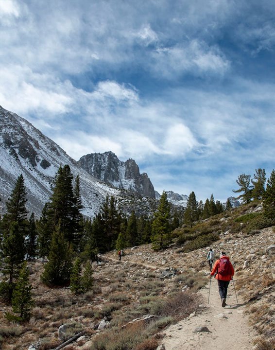 Strong foundation planning for scalable and future ready WordPress websites