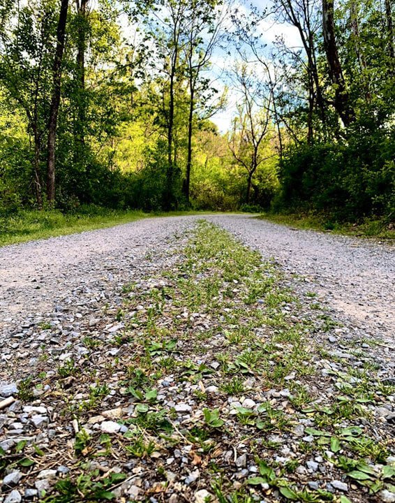 Optimized WordPress website speed, structure and SEO performance