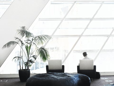 Indoor plant decoration ideas for modern homes in Canada