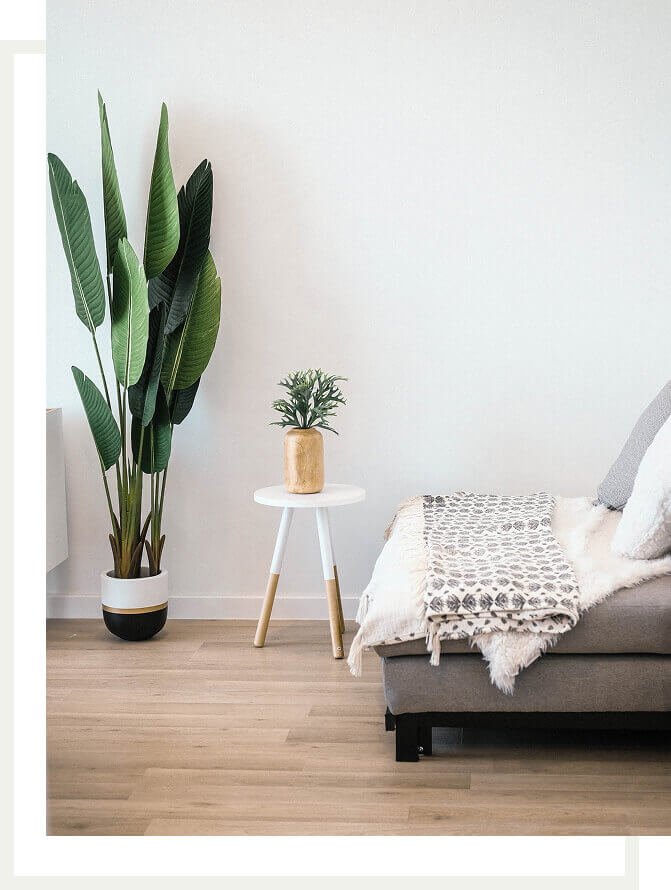 Modern bedroom interior in Canada with plants and minimal decor