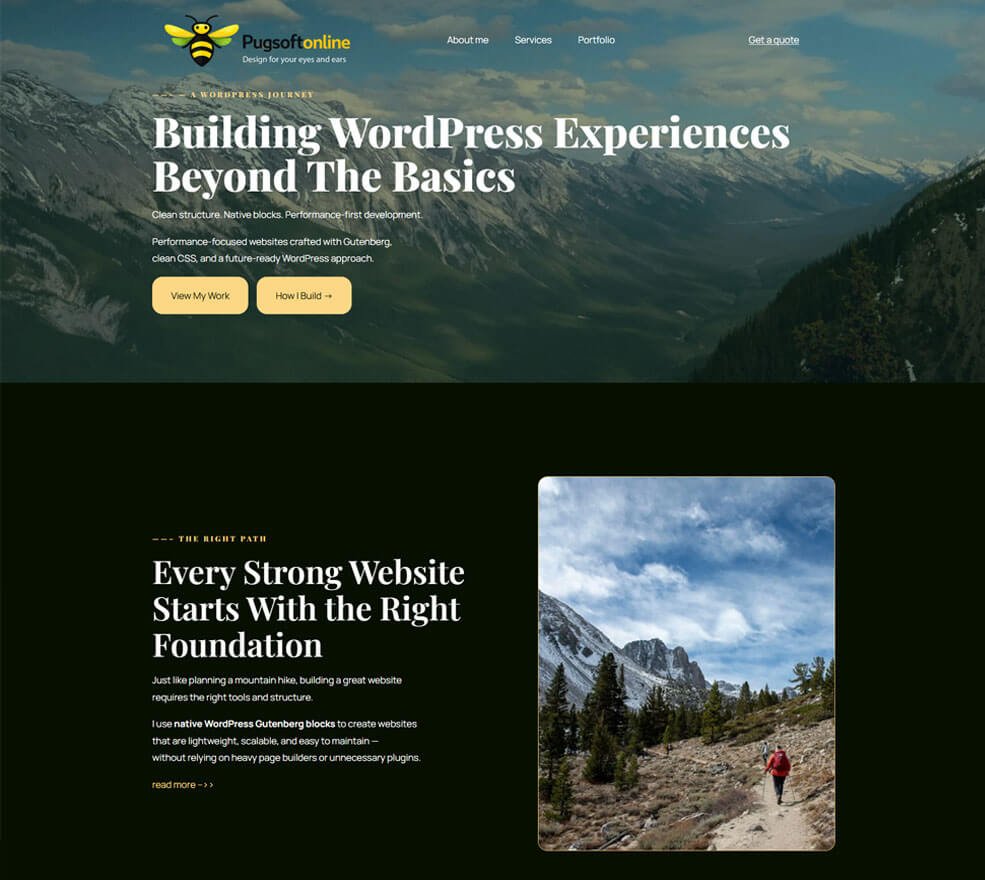 Responsive WordPress website project for website design and development
